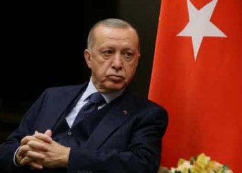 Erdogan: We Will Say No to Finland and Sweden’s NATO Membership