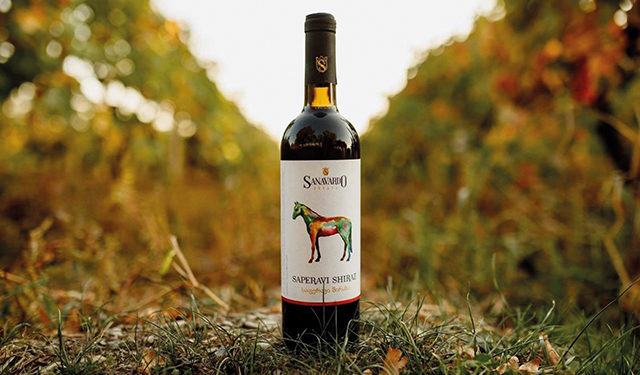 FOR SALE: 200 HA (500 Acre) Wine Estate in the Naperuli Appellation of Kakheti, Georgia