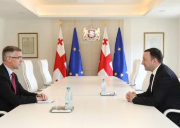Irakli Garibashvili Meets with the Ambassador of Sweden