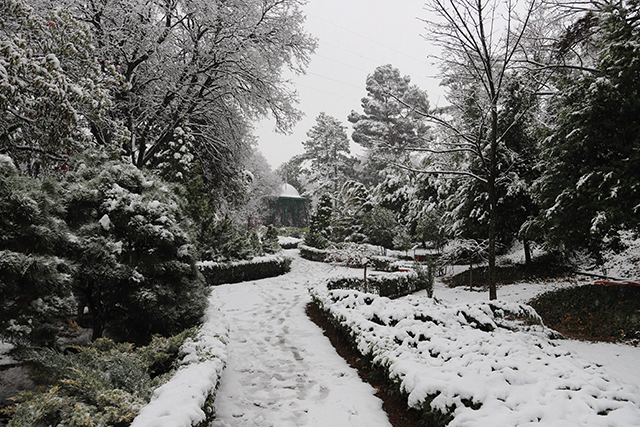 Tbilisi Botanical Garden. Source: National Botanical Garden 