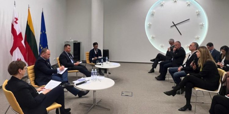 Parliamentary Delegation Attends Discussion on EU Integration of Georgia in Vilnius