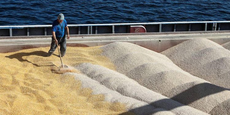 Media Reports: Ankara, Moscow Plan to Open Corridor for Grain from Odesa