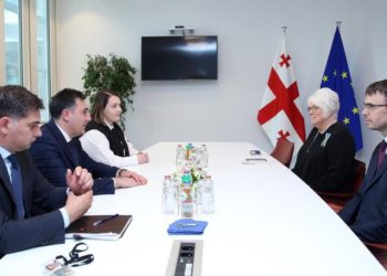 Georgian FM Meets MEPs