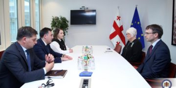 Georgian FM Meets MEPs