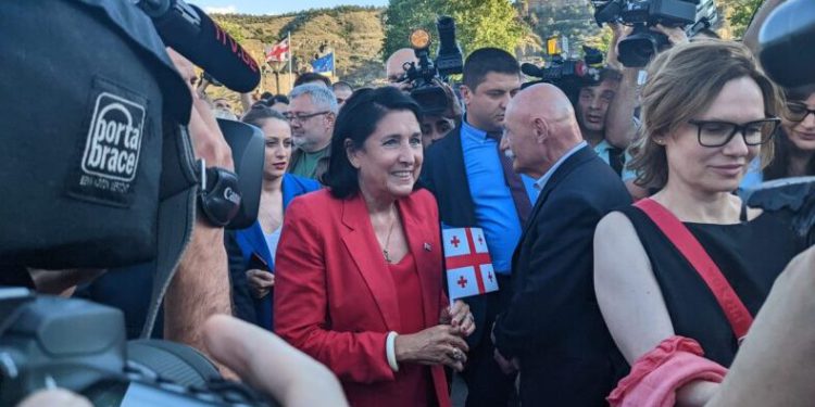 President, Citizens Gather in Europe Square in Support of European Course