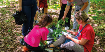 CENN Unites Youth and Partners to Celebrate World Environment Day