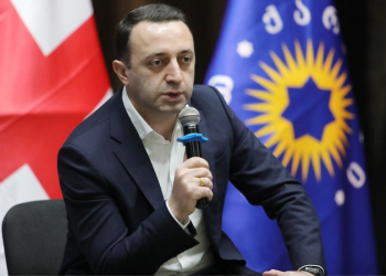 PM on Candidacy: Georgia Fought 3 Times Against Russian Army, Decision Unfair