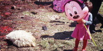 Photo by Dato Koridze (www.datokoridze.com)