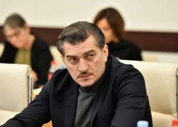Kavelashvili: We Can Provide More Information to Public So As Not To Harm GD