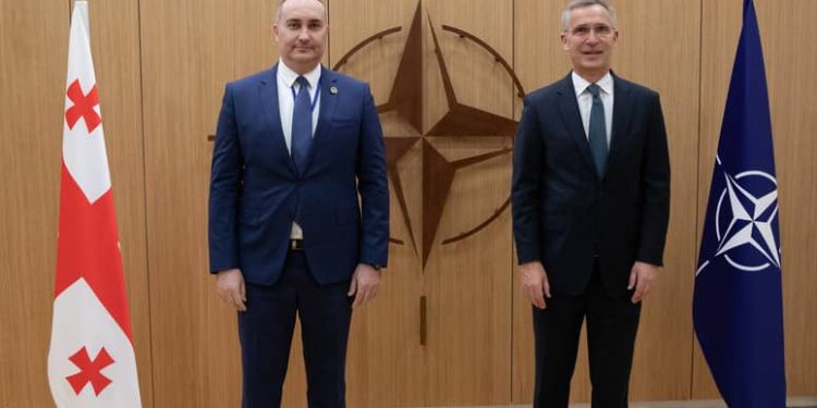 Georgian Defense Minister Meets with NATO Secretary General, Discusses Security Environment