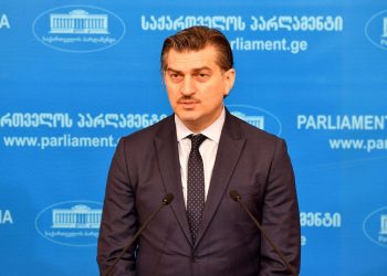 Open Letter of Mikheil Kavelashvili to Kelly Degnan