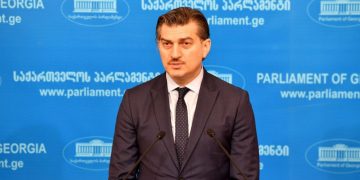 Open Letter of Mikheil Kavelashvili to Kelly Degnan