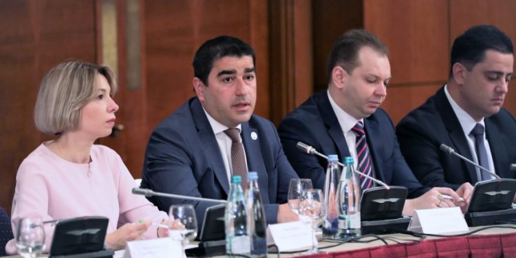 Papuashvili: All Perspectives Regarding Current State of Penitentiary Institutions should be Analyzed In-Depth