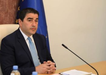 Papuashvili: 7 Committee Meetings and 5 Working Group Meetings have Been Held in Relation to 12-Point Recommendations
