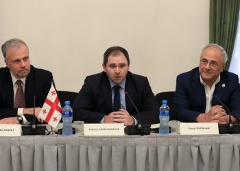 Samkharadze Meets with David Mcallister and Discussing Current Regional Affairs