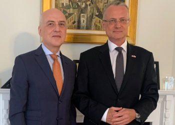 Zalkaliani Meets with Polish Ambassador to US, Discusses Prospect of Granting Georgia Status of Candidate Country of EU