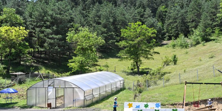 Building an Equal and Green Environment for All