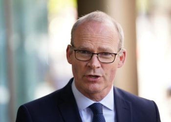 Irish Foreign Minister: Ireland is in Favor of Enlargement and it Includes Georgia