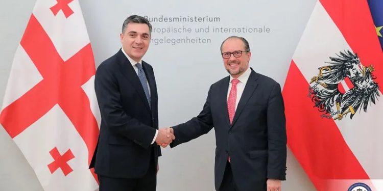 Ilia Darchiashvili Meets with the Federal Minister of European and International Affairs