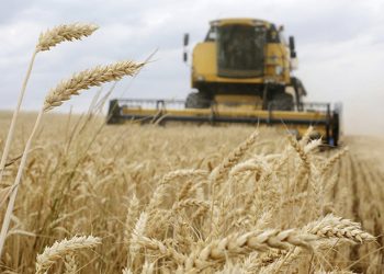 Image source: Agro-pulse