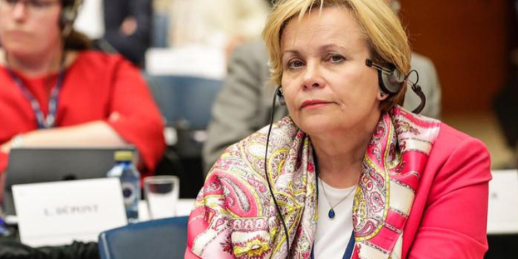 MEP: ‘De-oligarchization’ Means ‘de-Bidzinization’ or ‘de-Ivanishvilization’ of Georgia