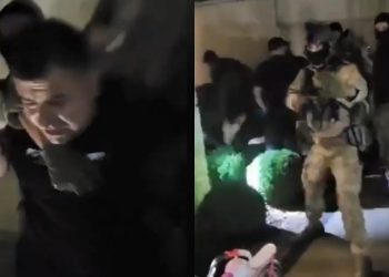 Criminal Arrest Or Elimination Of A Political Dissident; The Story Of Soso Gogashvili