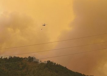 The 2017 Borjomi forest fire. Photo by Katie Ruth Davies/GT
