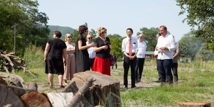 Georgia Shifts to Sustainable Practices in Forest Management