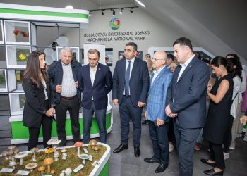 Diving Into the History and Nature of Machakhela Gorge