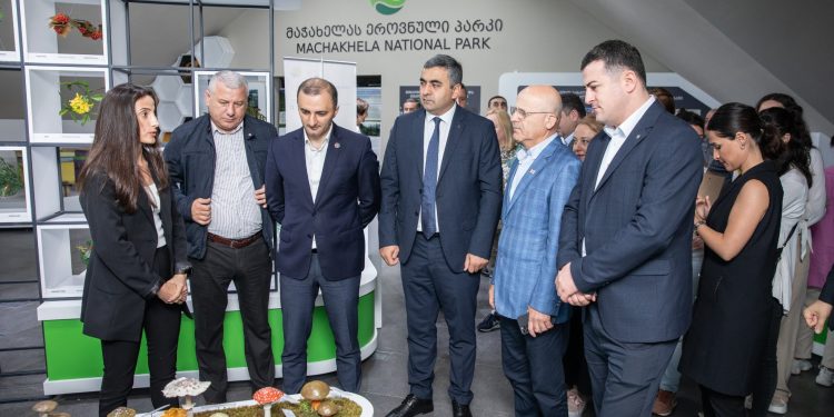 Diving Into the History and Nature of Machakhela Gorge