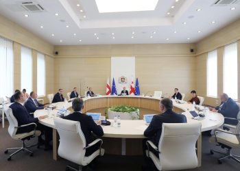 Cabinet Meeting Discusses Draft Law of Georgia on Establishment and Management of Protected Areas in Racha