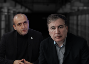 Khvichia on Meeting with Saakashvili: It Was a Pleasant Conversation