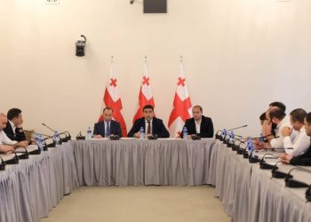 Papuashvili Meets with Parliamentary Opposition
