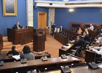 Sarjveladze: It is Important to More Actively Apply Jurisprudence of Strasbourg Court in National Jurisdiction