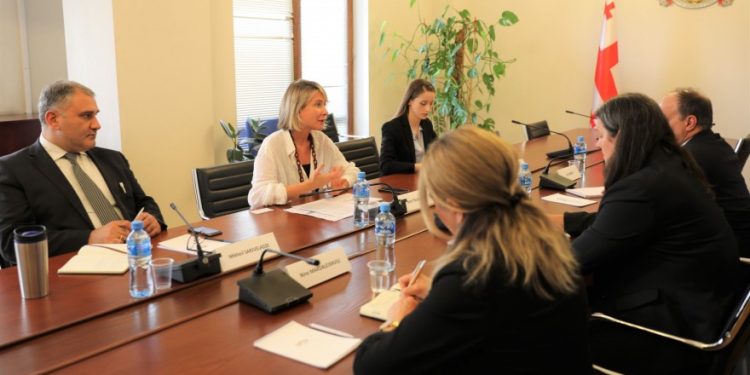 Members of Permanent Parliamentary Gender Equality Council Meet with Reps of US Embassy to Discuss Laws on Domestic Violence