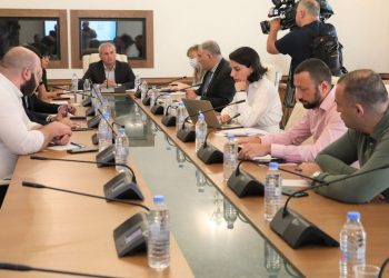 Meeting of Working Group on Parliamentary Oversight at Procedural Issues and Rules Committee