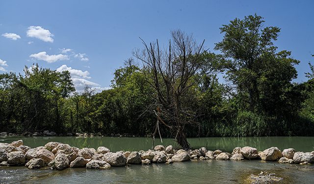 SABUKO: Making Life in the Iori Floodplains More Diverse & Saving the Home of Unique Biodiversity