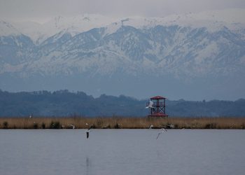 Photo by Nika Budagashvili/Sabuko