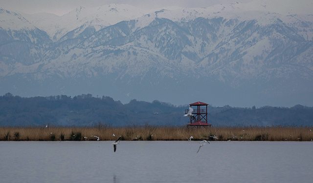 Photo by Nika Budagashvili/Sabuko