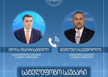 Turkish Firefighting Planes were Sent to Extinguish Fire in Borjomi Following Phone Conversation Between FM of Georgia and Turkey