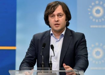 GD Chair: Authors of  Xenophobic Campaign Want to Drag Georgia into Military Conflict