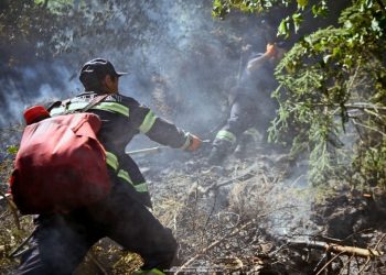 Fire Breaks Out in Mestia Municipality