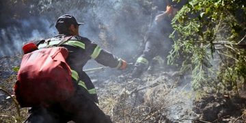 Fire Breaks Out in Mestia Municipality