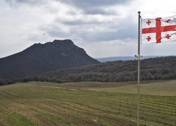 EU, UNDP and Georgian Farmers’ Association Work to Create an Agricultural Map of Georgia