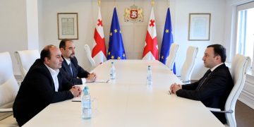 Mikheil Shakulashvili Appointed State Representative in Shida Kartli