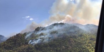 Defense Forces Involved in Fire-extinguishing Works in Borjomi