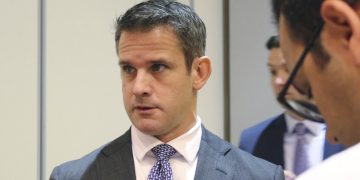 Kinzinger: We Have No Desire to Involve Georgia in the War, That’s Utterly False