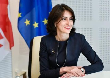 Legal Initiatives on Accession of Georgia to SEPA Submitted for Expedited Consideration