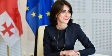 Legal Initiatives on Accession of Georgia to SEPA Submitted for Expedited Consideration