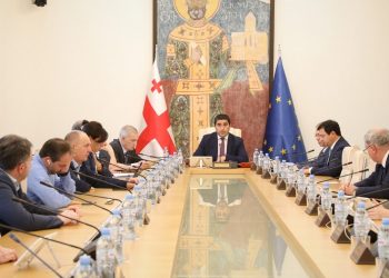 Parliament to Hear Tea Tsulukiani within Ministerial Hour
